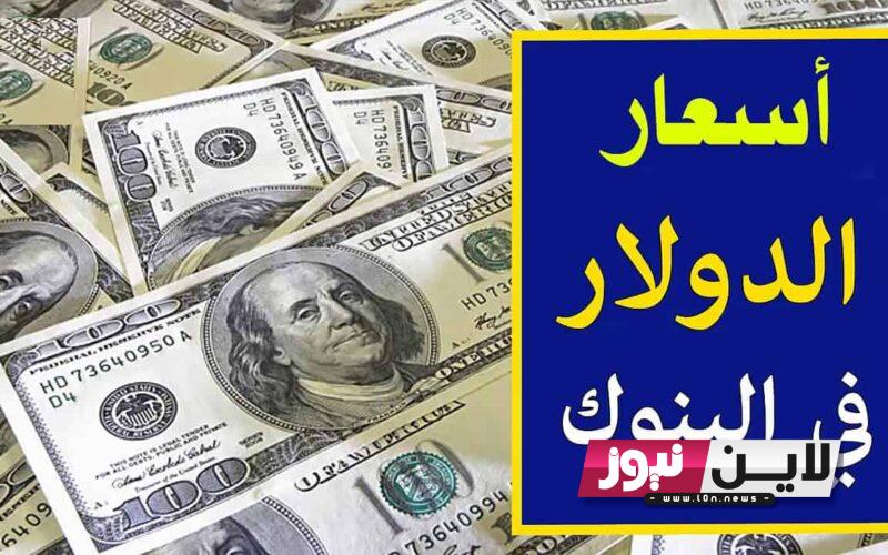 “استقرار” USD/EGP سعر الدولار اليوم مقابل الجنيه المصري الإثنين 18/9/2023 في السوق السوداء والبنوك المصرية