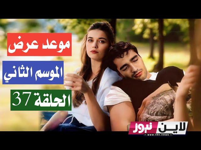 موعد عرض مسلسل طائر الرفراف الموسم الثاني Yalı Çapkını مُترجم علي قناة Star TV