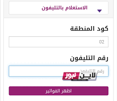 الاستعلام فاتورة التليفون الارضي بالرقم والاسم 2023 تعرف علي موعد وأماكن دفع فواتير التليفون الارضي عبر  billing.te.eg