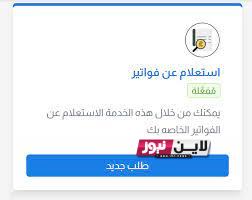 الآن.. الاستعلام عن فاتورة الكهرباء جنوب القاهرة 2023 بالاسم ورقم العداد عبر موقع الشركة القابضة لكهرباء مصر