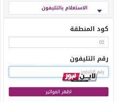 الاستعلام عن فاتورة التليفون الأرضي بالرقم 2023 شهر سبتمبر عبر موقع الشركة المصرية للاتصالات billing.te.eg