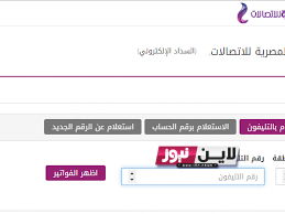 الآن رابط الاستعلام عن فواتير التليفون الأرضي بالاسم والرقم  2023 شهر سبتمبر عبر موقع billing.te.eg و أخر موعد للسداد