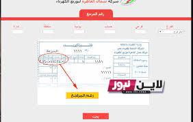 رابط الاستعلام عن فاتورة الكهرباء شمال الدلتا 2023 الالكترونيا شهر سبتمبر  عبر الرابط ndedco.gov.eg