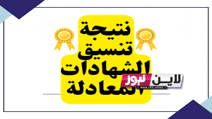 نتيجة تنسيق الشهادات المعادلة 2023  التعليم العالي..مد فترة قبول أوراق الطلاب حتى 10 سبتمبر