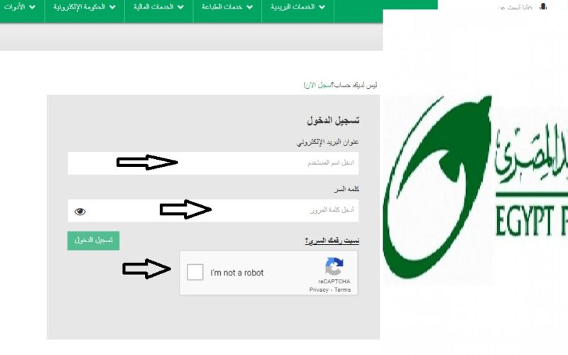بالرقم القومي .. رابط “egyptpost.org” التقديم علي مسابقة البريد المصري 2023 والشروط المطلوبة للتقديم