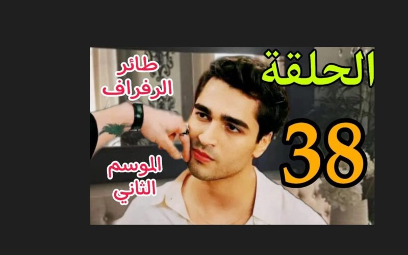 عرض مسلسل الطائر الرفراف الموسم الثاني الحلقة 2 مُترجمة مجاناً