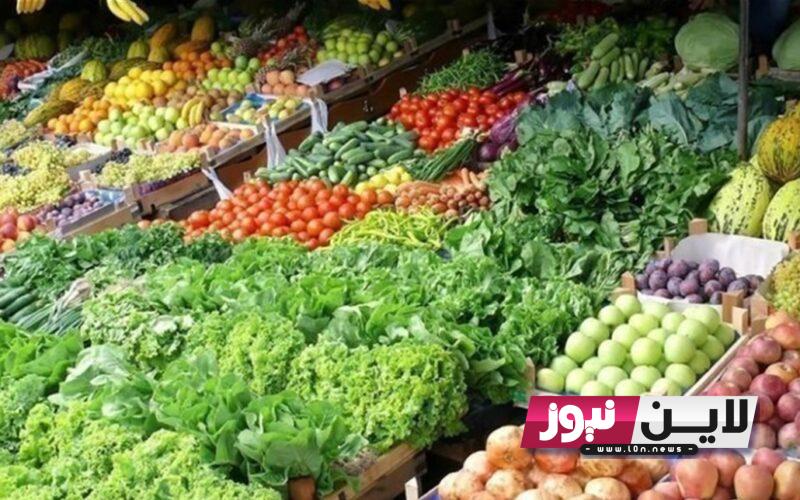 كم أسعار الخضار والفواكه اليوم الخميس 26/10/2023 للمستهلك في سوق العبور