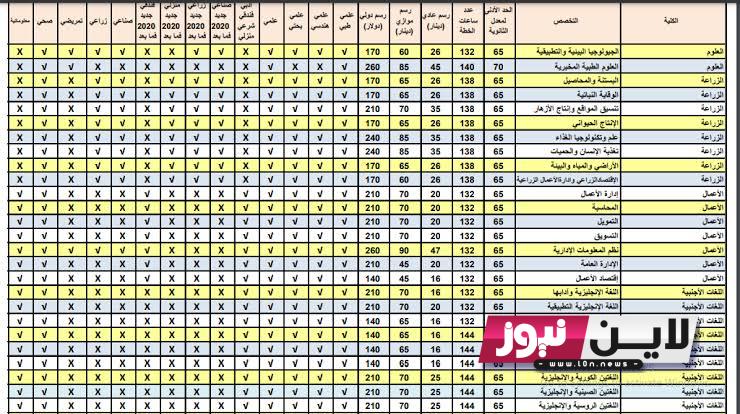 متاحة الآن.. معدلات القبول 2023 العراق القبول المركزي في الجامعات العراقية الحدود الدنيا العلمي والأدبي pdf