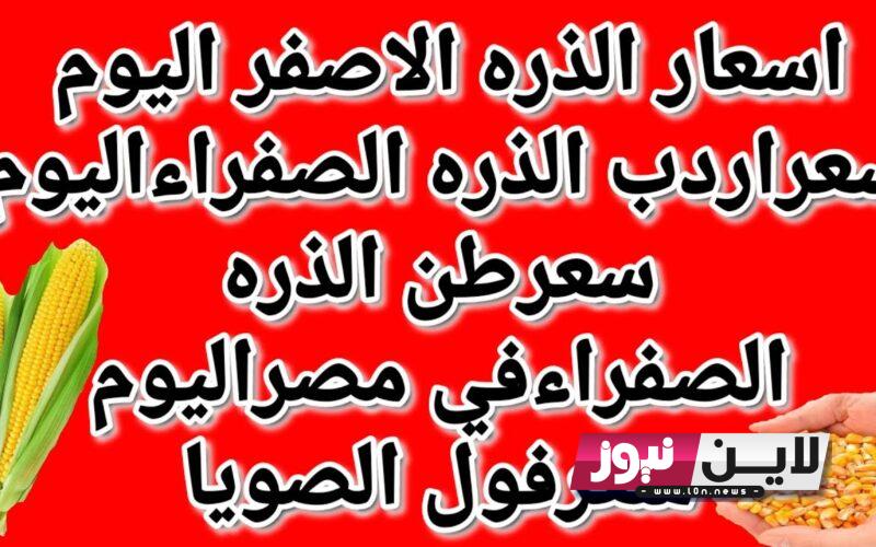 عاااااجل.. سعر الذرة الصفراء اليوم الخميس 19/ 10/ 2023 للمستهلك في الاسواق المحلية.. كم سعر اردب الذره الصفراء؟