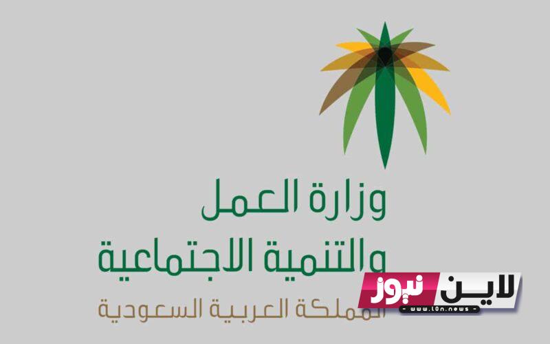 ” دفعة أكتوبر ” متى ينزل راتب التأهيل الشامل 1445 دفعه ربيع الثاني ومن هم الذين يشملهم التاهيل الشامل؟