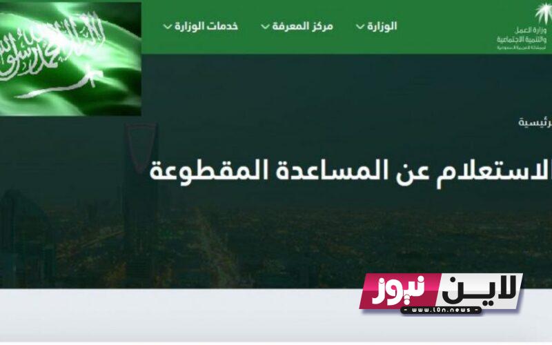 الاستعلام عن تأشيرة السعودية برقم الجواز 1445 ورابط الحصول على التأشيرة عبر منصة إنجاز visa.mofa.gov.sa