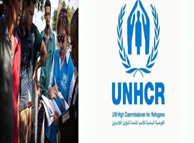 ملف الهجرة لتركيا .. رابط إعادة التوطين في تركيا التابع للأمم المتحدة “UNHCR Turkey” المفوضية السامية