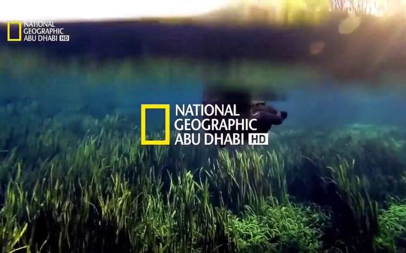 “ثبتها الآن” تردد قناة ناشيونال جيوغرافيك المفتوحة نايل سات 2023 National Geographic على جميع الاقمار الصناعية