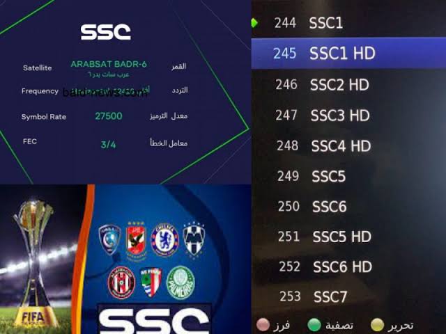 اضبط تردد قناة Ssc الجديد 2023 على القمر الصناعي نايل سات لمتابعة أقوى المباريات والبطولات العالمية